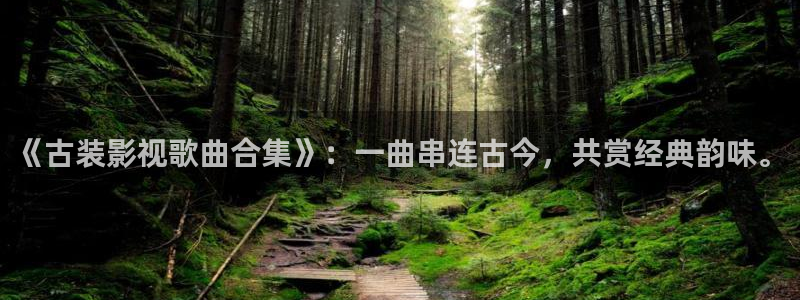先锋688：《古装影视歌曲合集》：一曲串连古今，共赏经典韵味。