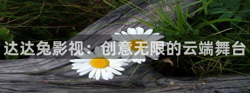 68天电影：达达兔影视：创意无限的云端舞台