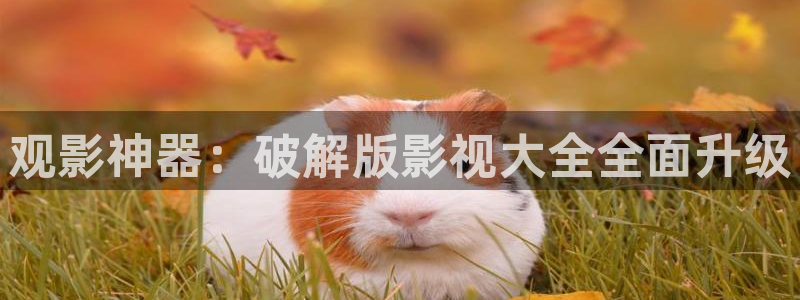 68影院在线观看：观影神器：破解版影视大全全面升级
