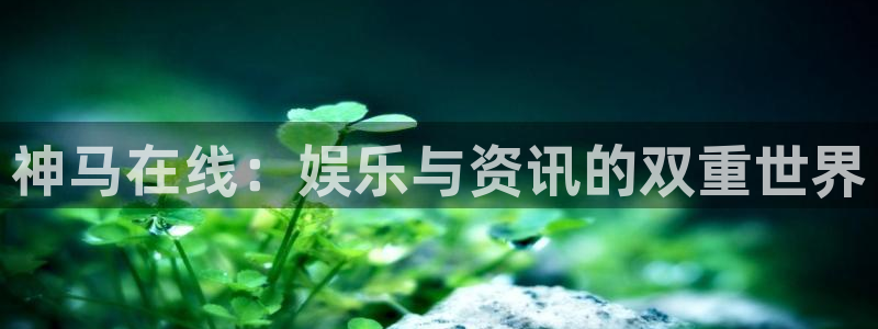 168私人影院：神马在线：娱乐与资讯的双重世界