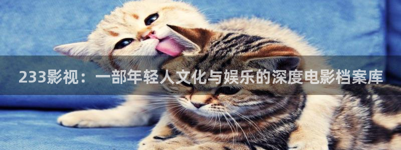 四虎影院168：233影视：一部年轻人文化与娱乐的深度电影档案库
