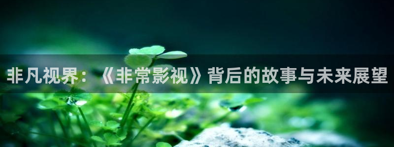 yy6680新视觉影视：非凡视界：《非常影视》背后的故事与未来展望
