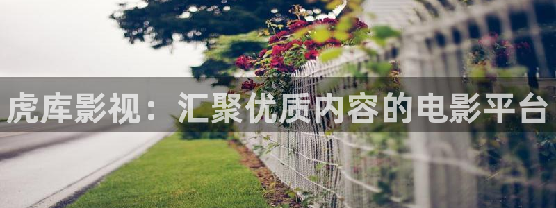 8688影院高清电视剧免费播放：虎库影视：汇聚优质内容的电影平台